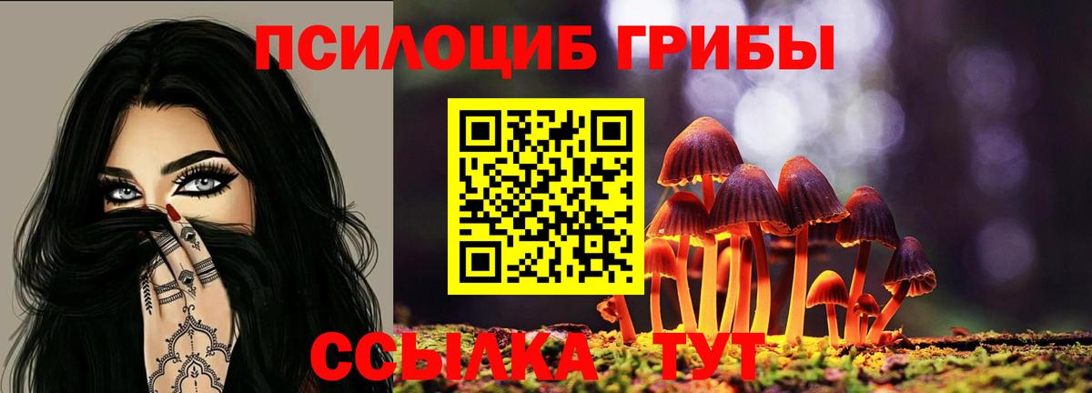 купить наркотики сайты  Галлюциногенные грибы ЛСД  Вход с VPN  Юрга 